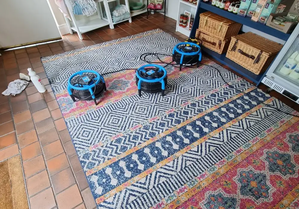 Rug Cleaning Coventry